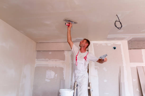 Best Drywall Removal and Disposal  in Satellite Beach, FL